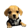 emoji_462