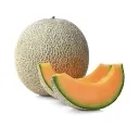 cantaloupe cantaloupe