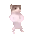 catPls