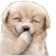 HEHEHE