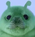 glorp