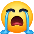 1_cri 1_cri