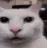 meow