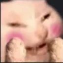 catblush catblush