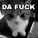DAFUCKcat