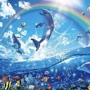 dolphin