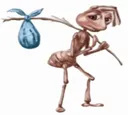 formiga
