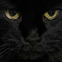 SalemStare