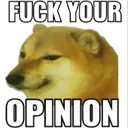 fuck_your_opinion