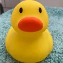ducky