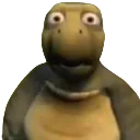 whatthefuck whatthefuck