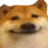 hehe hehe