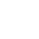 stacy