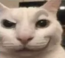 calc