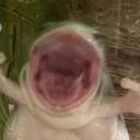 AAAAAAA