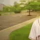 schizo
