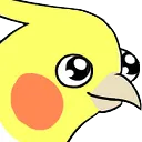 birdJOY