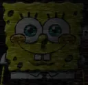 sponge