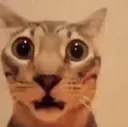 omg