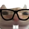 nerd_cat