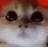 RAGEY