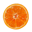 02_orangeslice