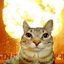 LT_o_catboom
