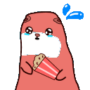 soonerrakko animated Discord emote - SOON HQ