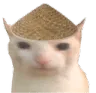 ChinaCat ChinaCat