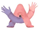 arc arc