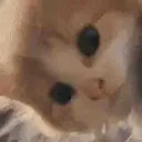 fren