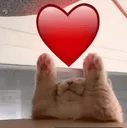 amewmew