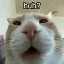 Huh Huh