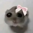 __ __
