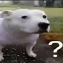huh