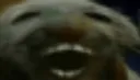 dxd