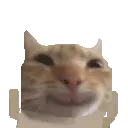 catSmileL4x