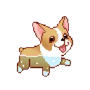 dogo
