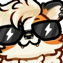 ziphyCool ziphyCool