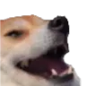 5_mmAu