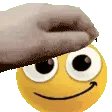 content_petpet
