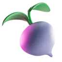 discord_turnip
