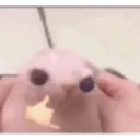 yo yo