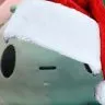 HurtJolly