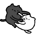 cat_fight