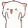 catHype