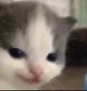 evilheheh