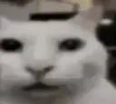 he