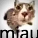 emoji_23