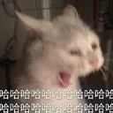 emoji_3